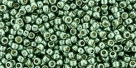 10 g TOHO Seed Beads 11/0 TR-11-PF589 - Permanent Finish - Galvanized Jade Green/Spruce (A,C,D)