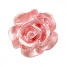 #44 - 5 Stück Resin Rose Beads ca. 10 mm - white - dusty rose pearl shine coated