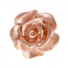 #47 - 5 Stück Resin Rose Beads ca. 10 mm - white - ginger rose pearl shine coated