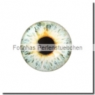 1 Stück Glascabochon Ø 30 mm Crystal mit Grafik Auge verschiedene Varianten