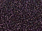 10 Gramm Miyuki Seed Beads 11-3749