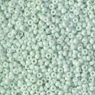 10 Gramm Miyuki Seed Beads 11-3318