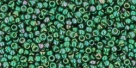 5g TOHO SeedBeads 15/0 TR-15-0322