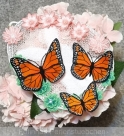 Stickdatei FSL - Schmetterling Monarch  --- Design Pack