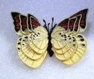 Stickdatei FSL - Schmetterling-gelber Aurorafalter - 78 x 54 mm