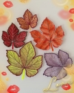 Embroidery file FSL - Vine leaf --- Design Pack