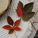 Embroidery file FSL - Vine leaf --- Design Pack