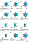 Stickdatei Lace - Schneeflocke/Stern Nr. 7 in 2 Varianten (350 mm)