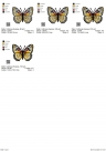 Stickdatei FSL Schmetterling Cethosia Hypsea - Malaiische Florfliege --- Design Pack