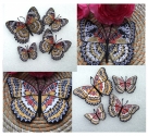 Stickdatei FSL Schmetterling Cethosia Hypsea & Biblis --- SUPER-Design Pack