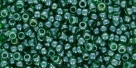 10 g TOHO SeedBeads 8/0 TR-08-0108 BD