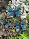 Stickdatei FSL & ITH - Schmetterling Limenitis Arthemis Arizonensis --- Design Pack