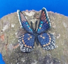 Stickdatei FSL & ITH - Schmetterling Limenitis Arthemis Arizonensis --- Design Pack