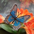 Stickdatei FSL & ITH - Limenitis Arthemis Arizonensis --- ca. 140 mm