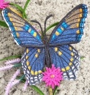 Stickdatei FSL & ITH - Limenitis Arthemis Arizonensis --- ca. 140 mm