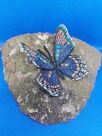 Embroidery File FSL & ITH - Limenitis Arthemis Arizonensis --- approx. 100 mm