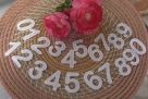 FSL digits 0 to 9 in 1 size each and 2 different designs - set