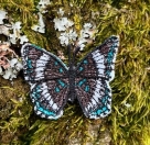 Stickdatei FSL - Schmetterling Limenitis Arthemis White Admiral --- ca. 60mm