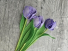 Embroidery file FSL - Tulip --- Design Pack