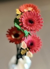 Stickdatei FSL - 3D-Gerbera --- Design Pack