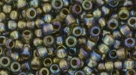 10 g TOHO SeedBeads 8/0 TR-08-0999