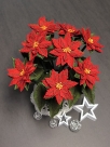 Embroidery file FSL - 3D Christmas Star --- Design Pack