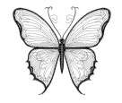 LineArt - Schmetterling --- SUPER-Set