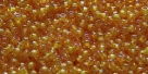 5g TOHO SeedBeads 15/0 TR-15-1827