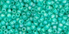 10 g TOHO Seed Beads 11/0 TR-11-0164 BF - Tr.Rainbow-Frosted Dark Peridot