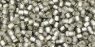 10 g TOHO Seed Beads 11/0 TR-11-0029 F Black Diamond Silver-Lined Frosted (A,D)