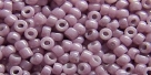 5g TOHO SeedBeads 15/0 TR-15-0127