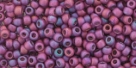 10 g TOHO Seed Beads 11/0 TR-11-0625 F - Matte-Color Plum Iris (C)