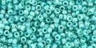 5g TOHO SeedBeads 15/0 TR-15-0413