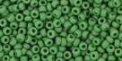 10 g TOHO Seed Beads 11/0 TR-11-2004 - Ancient (antik) Matte Evergreen