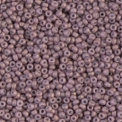 10 Gramm Miyuki Seed Beads 11-2034