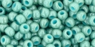 10 g TOHO SeedBeads 8/0 TR-08-1611