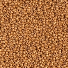 5 Gramm Miyuki Seed Beads 15-4203 F